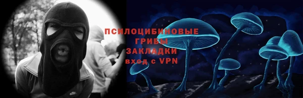спиды Заводоуковск