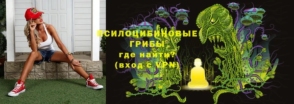 экстази Алексин