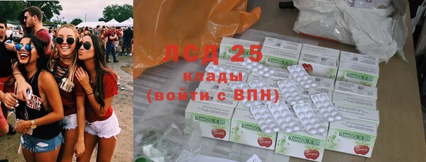 индика Алексеевка