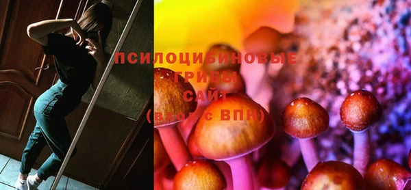 Альфа ПВП Вяземский