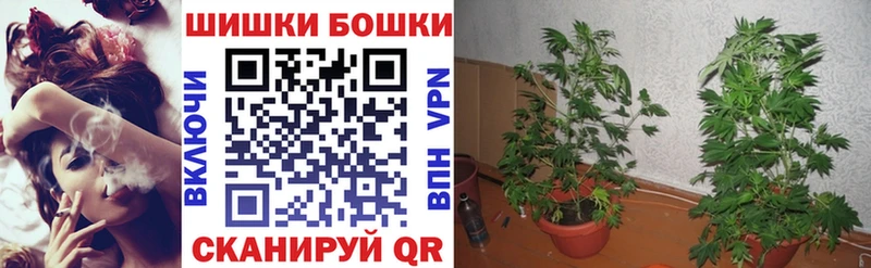 Марихуана индика  сколько стоит  Бердск 
